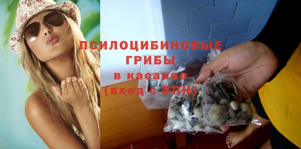 apvp Алзамай