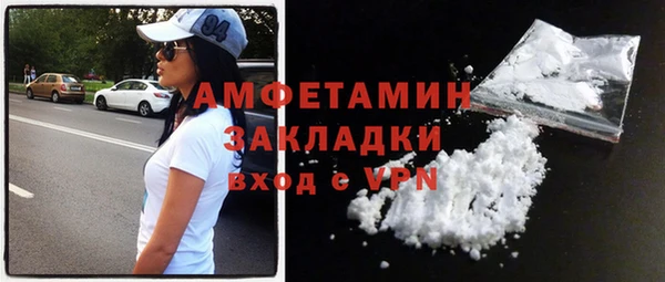 мет Алексин