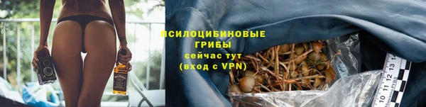 apvp Алзамай