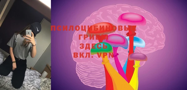 дурь Алексеевка