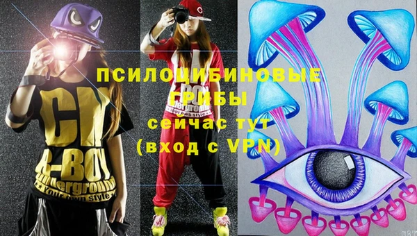 apvp Алзамай