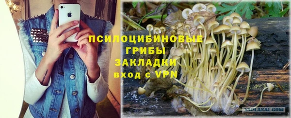 мет Алексин