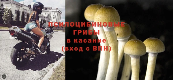 apvp Алзамай