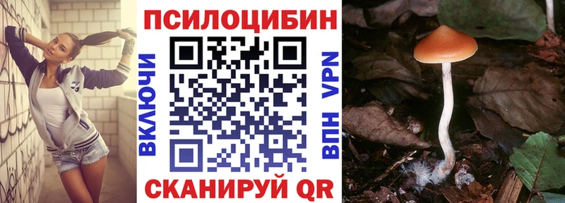 Галлюциногенные грибы GOLDEN TEACHER  кракен   Волхов  продажа наркотиков 